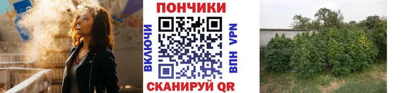 купить закладку ОМГ ОМГ как войти Каннабис Amnesia Раменское